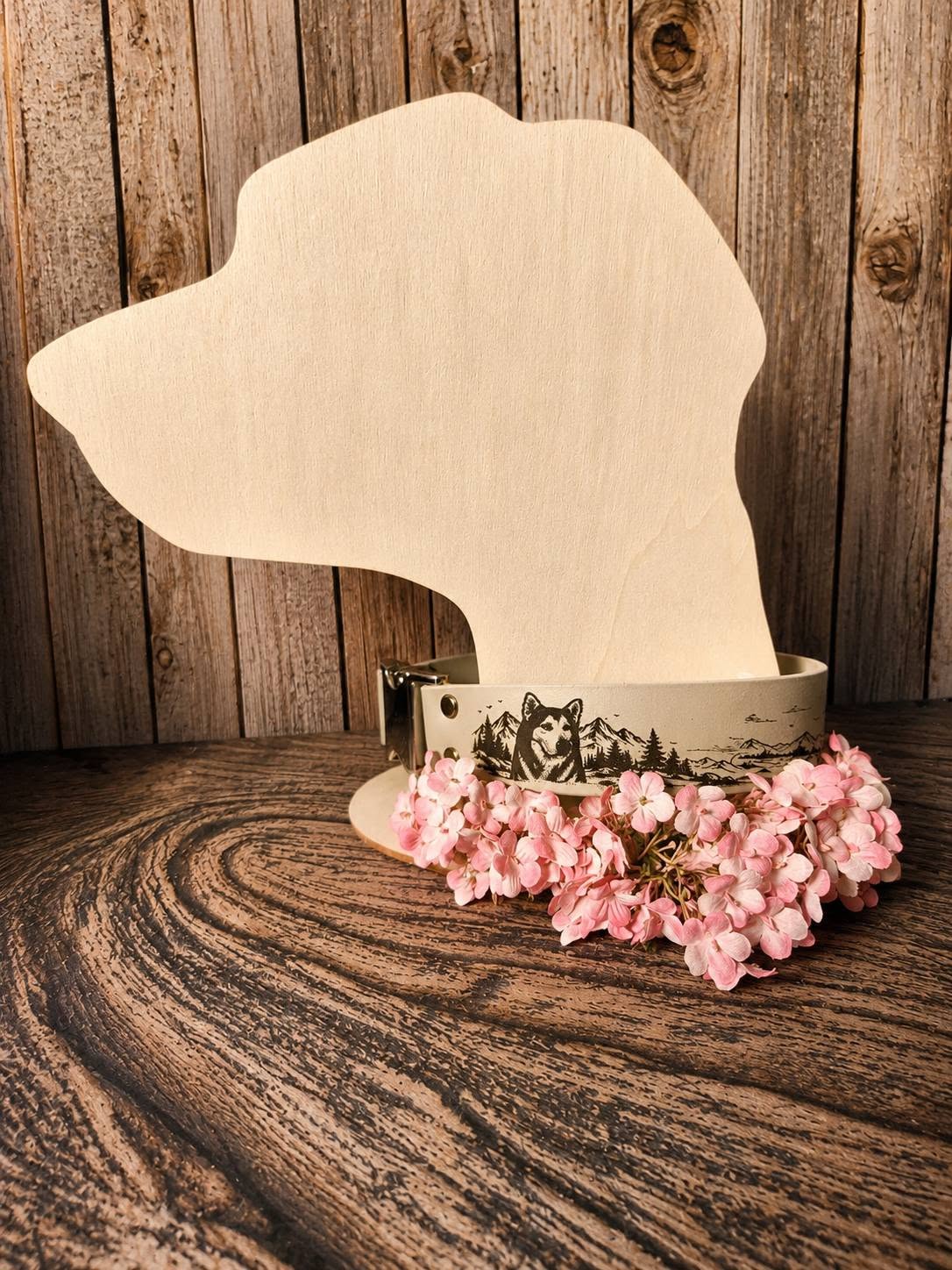Collier personnalisé Nayko recto — Dog's Camp