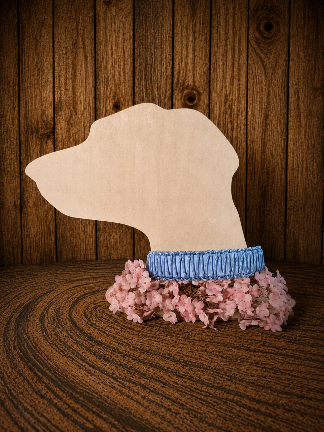 Collier en biothane personnalisé Dog's Camp
