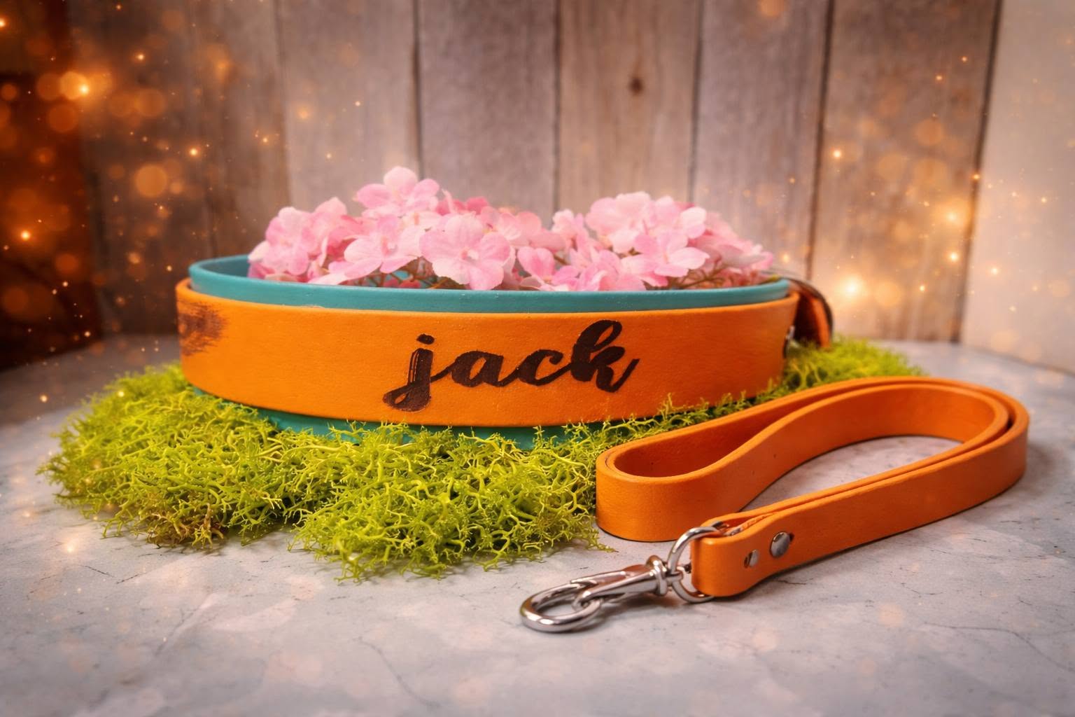 Collier renard de Jack — Dog's Camp